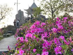 -梧桐山风景名胜区