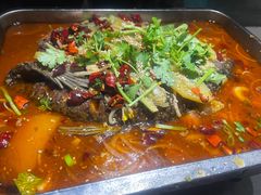 -琴早英子菜馆(古田路店)