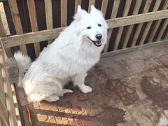 -万源龙顺度假庄园生态观光园