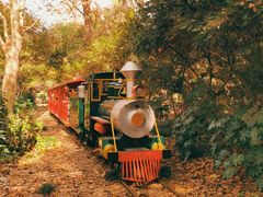 -上海共青森林公园