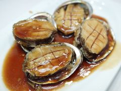 红烧鲍鱼-来之顺海鲜菜馆·青岛菜(栈桥店)