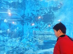 -横店影视城梦幻谷园区