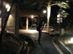 -清迈夜间动物园