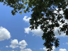 -楠溪江风景名胜区