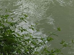 -蜀绣公园