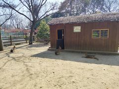 -苏州太湖西山岛开心农场