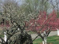 -幕燕滨江·长江观音景区