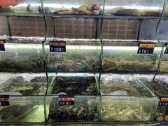 水产区-覃记海鲜美食餐厅