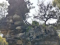 -南山植物园