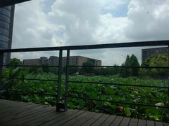 -3W咖啡(国家软件园店)