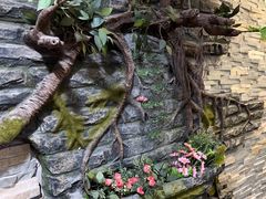 -桃屋日本料理(清华科技园店)