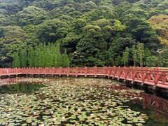 -广州市石门国家森林公园