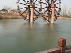 -泗洪洪泽湖湿地景区