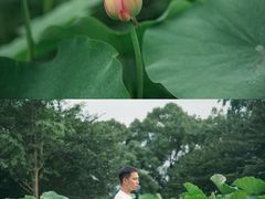 -南山植物园