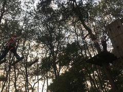 -芦仙山景区-飞越丛林探险乐园