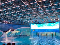 -海合安青岛极地海洋公园