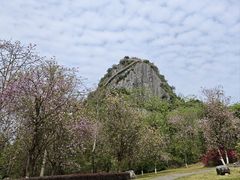 -南宁花花大世界景区