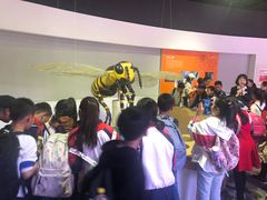 -陕西自然博物馆