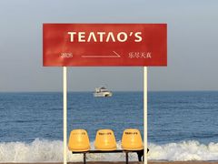 -日照海滨国家森林公园