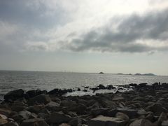 -野狸岛