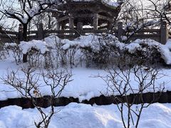 -红山公园