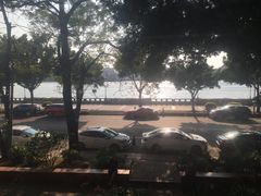 -more than meow吴止猫主题餐厅(承德 中船汇店)