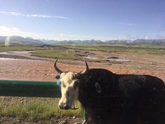 -扁都口生态休闲旅游区