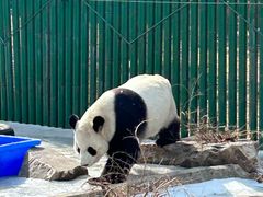 -沈阳森林动物园