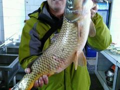 -庆岭迎宾园正宗活鱼馆