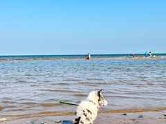 -东戴河风景区-止锚湾