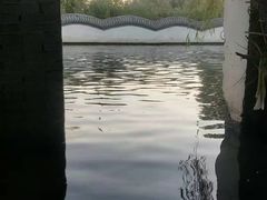 -夏家大锅台炖鱼馆