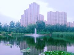 -前关湿地公园