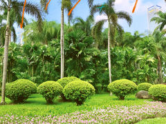 -广州珠江公园