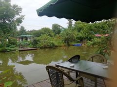 -洪湖家庭农场·团建·露营·会议
