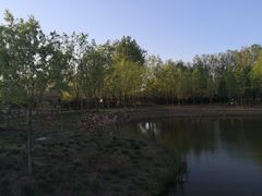 -东郊湿地公园