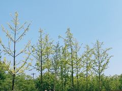 -东郊湿地公园
