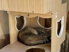 -青藏高原野生动物园