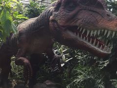 -呀路古热带植物园