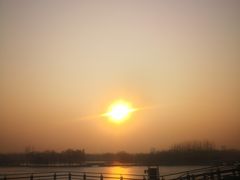 -大兴滨河森林公园