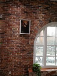 -星豆豆儿童摄影(南郊太白南路店)