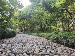 -上海醉白池公园