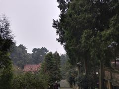 -都江堰普照寺