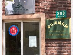 -新江湾城公园