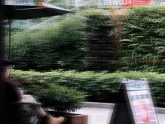 -岭南站NOVA