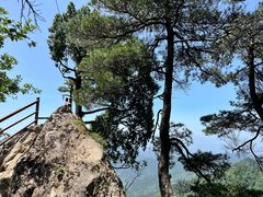 -王顺山国家森林公园