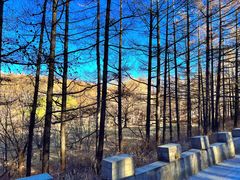 -白草畔自然风景区