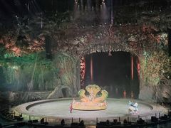 -广州长隆国际大马戏