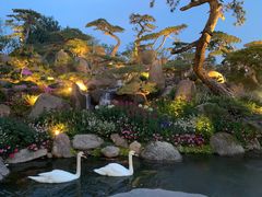 -罗红摄影艺术馆