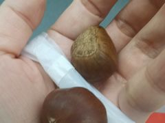 -阿男野栗王(金门路店)