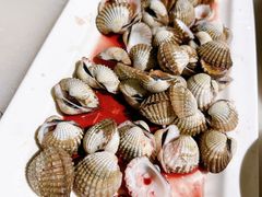 -华盛丰温州大排档(东三环南路店)